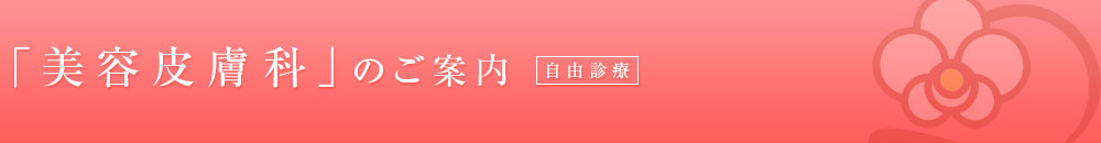 「美容皮膚科」のご案内 保険診療